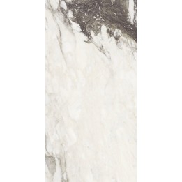 Florim ufficiale - minimale 761767