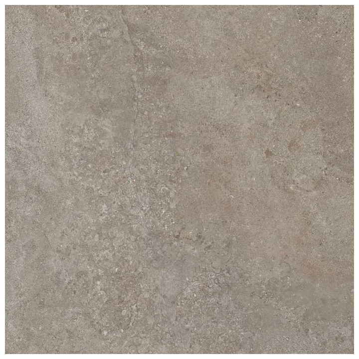 Florim ufficiale - minimale 784438