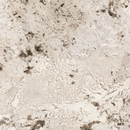 Florim ufficiale - minimale 784867