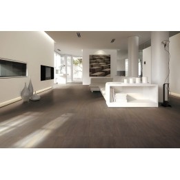 Emilgroup verificata - ambiente codice E407