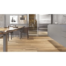 Emilgroup verificata - ambiente codice EC13