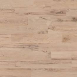 Emilgroup verificata - minimale codice EHV4