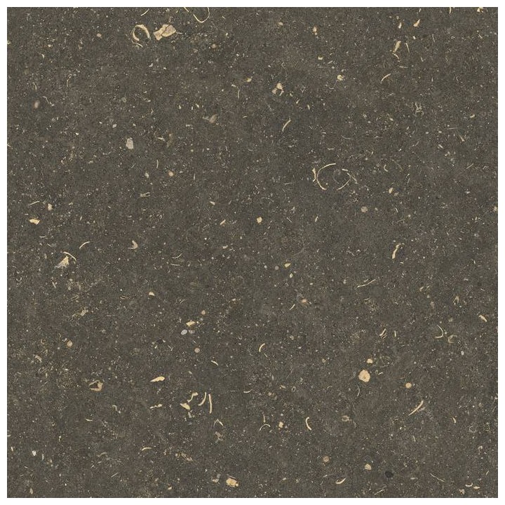 Florim ufficiale - minimale 785499